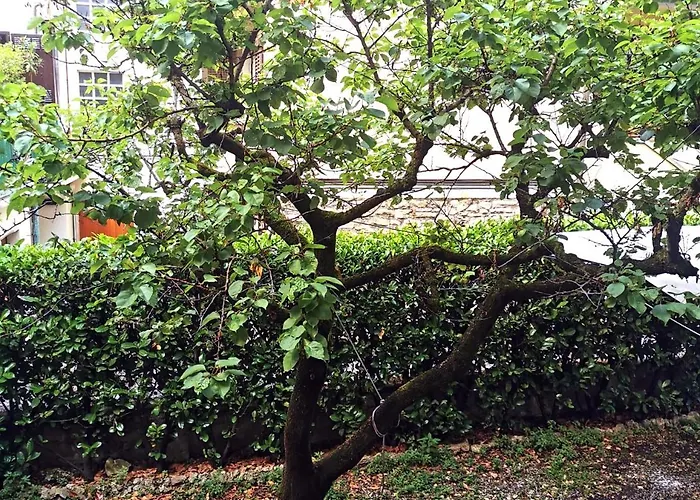 The Kraken - Boutique Design In - Steampunk Atmosphere 3*